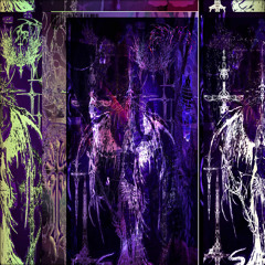 august 19 clip                          @petco1    #lost #throwed #imakebeats