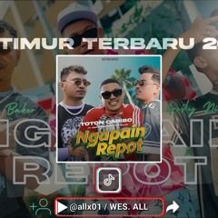 DJ TIMUR NGAPAIN REPOT 2025 - SUPER EXC BY WES ALL