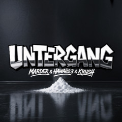 Untergang (Toxz Bot Remix)