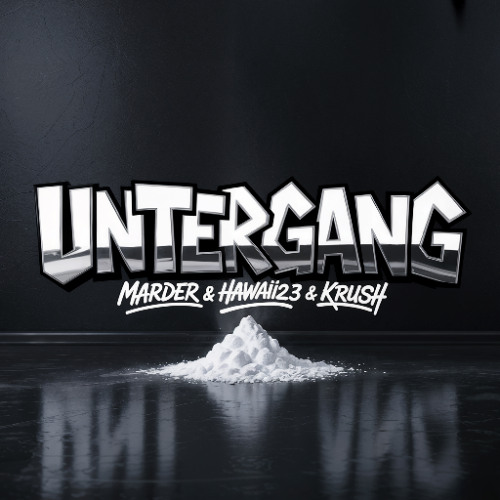 Untergang (Toxz Bot Remix)