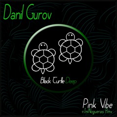 Danil Gurov - Pink Vibe  (JmNogueras Remix)[BTD149]