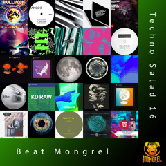 Techno Salad 16
