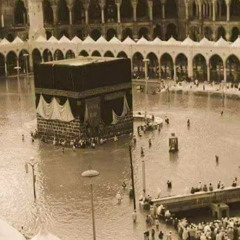 سورة الإنسان - علي جابر