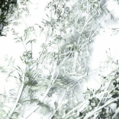 TheseRtheWords - Slotmachine Remix