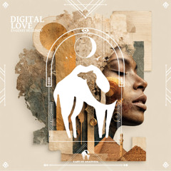 Evgeniy Nuzhnov - Digital Love [Cafe De Anatolia]