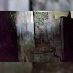 Vídeo: completo menina 2v1 casa abandonada portal zacarias
