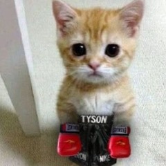 **Winterz - Gonzo** - Orthodox (Prod. Plath)