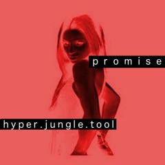 PROMISE [hyper.jungle.tool]
