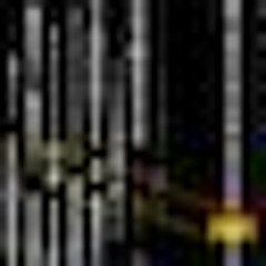 Adorable Fuzzy Silk Moth