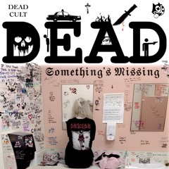 DEAD - 𝕾𝖔𝖒𝖊𝖙𝖍𝖎𝖓𝖌'𝖘 𝕸𝖎𝖘𝖘𝖎𝖓𝖌 2025