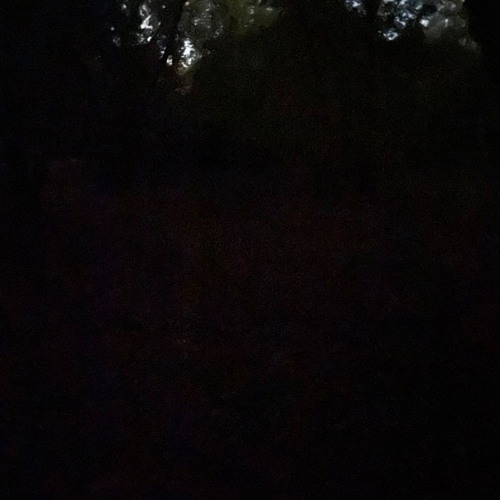 遅かれ早かれ You Will See (jyn31)