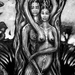 sight2see(prod.remdolla)