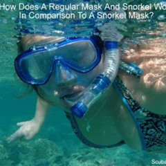 Best How Do Snorkel Masks Work Prices Reviews