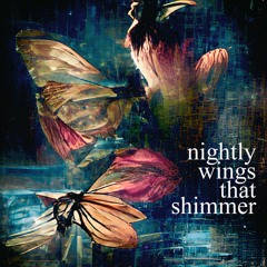 nightly wings that shimmer(naviarhaiku501)