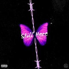 Still Here