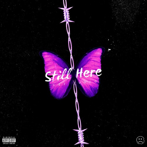 Still Here