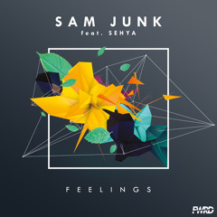 Feelings (Nana K. Remix) [feat. Sehya]
