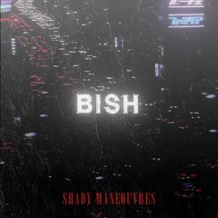 SHADY MANEOUVRES