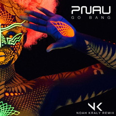 Go Bang - PNAU [Noah Kraly Remix]