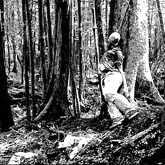 Tadea$ - Aokigahara /. prod Demon  Boy