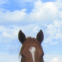 #1 - momo erzählt - Wer weiß das schon!