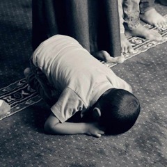 سورة الانفال احمد عبد الرازق نصر