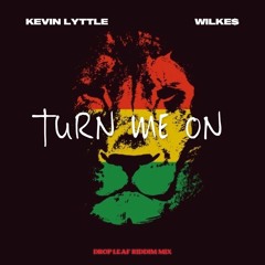 Kevin Lyttle x WILKE$ - Turn Me On (Drop Leaf Riddim Mashup)