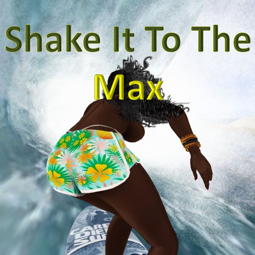 Shake It to the Max - Dancehall Afrobeats and Soca Mix 32