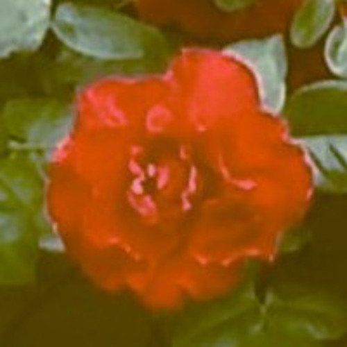 Only one way to know