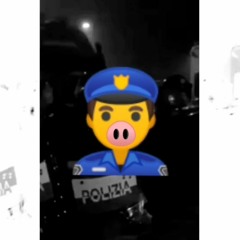 Tout le monde detest la Police 1312