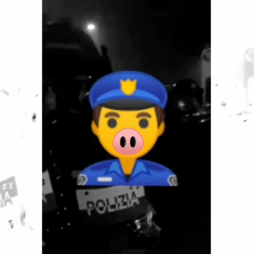 Tout le monde detest la Police 1312