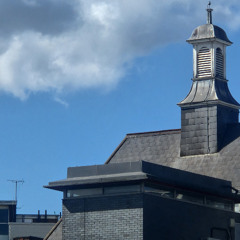 ddroopp