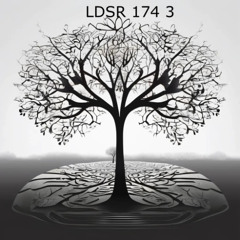 LDSR 174 3