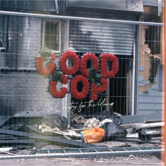 Good Cop - Hunting Party