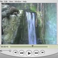 Digital Thickets