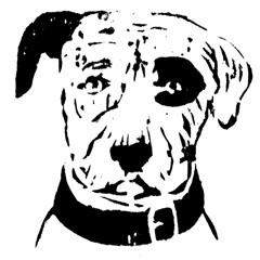 The Moondoggers - I Had Too Much To Dream(Last Night)