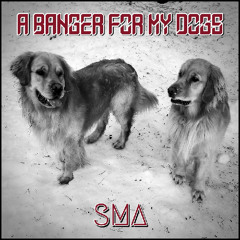 a banger for my dogs