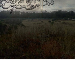 redda fallin remix p danu