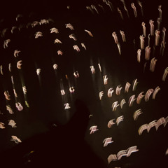 Before the summer ends