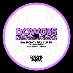 Premiere: Ray Mono - Your Reality (Crihan Remix)[DOW035]