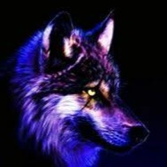 furry/county and fnaf of folfsky and all