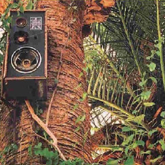 Funky Garden Bangers (120 - 130 bpm)