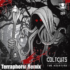 ColtCuts - The Haunting (Terraphorm Rmx)