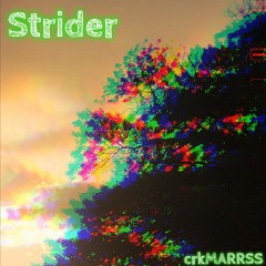Strider