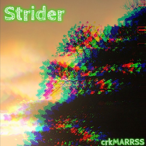 Strider