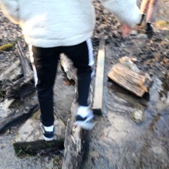 Heart theft (ft. Jay Bo)