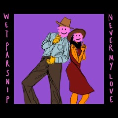 Never My Love (The Association Cover)