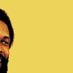 Everybody Hates The Sunshine