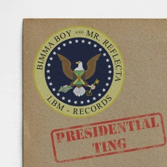 Mr. Reflecta & Bimma Boy - Presidential Ting