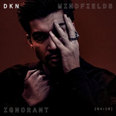 DKN - Ignorant